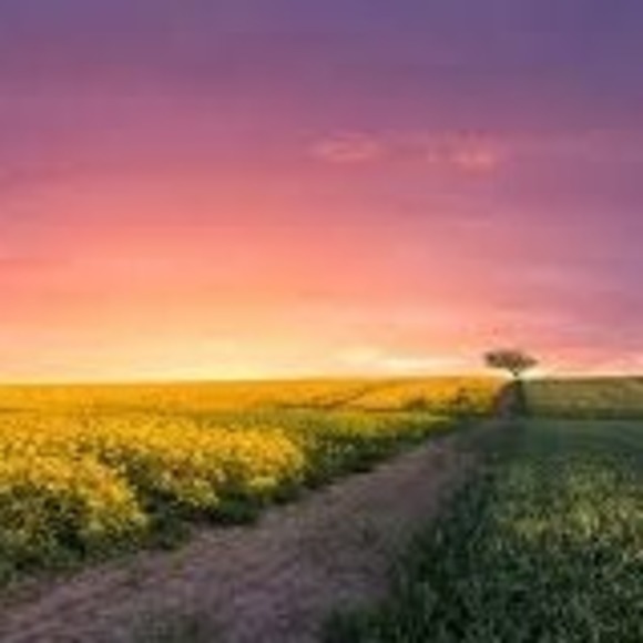 Meet your Posher, Mary - Picture 1 of 1